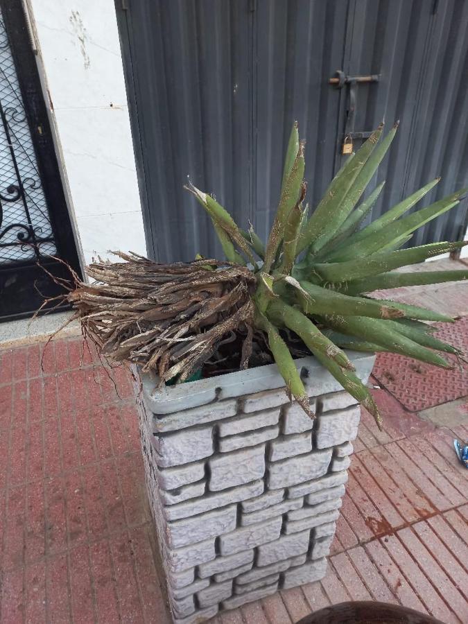 Appartement Hassania Casablanca Extérieur photo